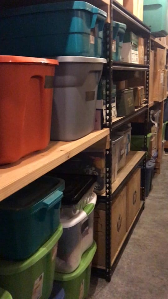 Post 10 by Allie on TikTok (video)