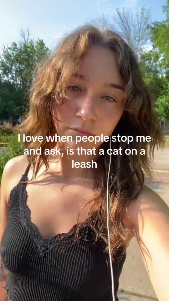 Post 6 by Allie on TikTok (video)