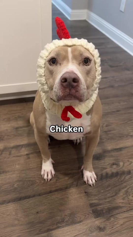 Post 10 by Sarah_Habits on TikTok (video)