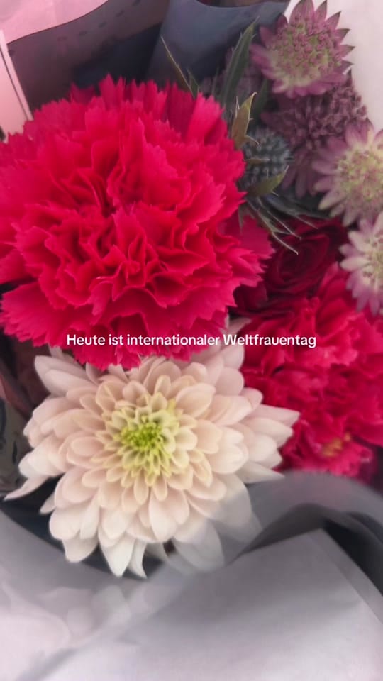 Post 7 by i.am.lukas on TikTok (video)