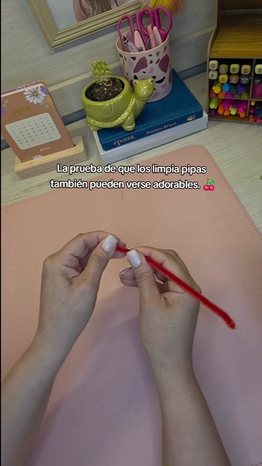 Post 2 by Caro on TikTok (video)