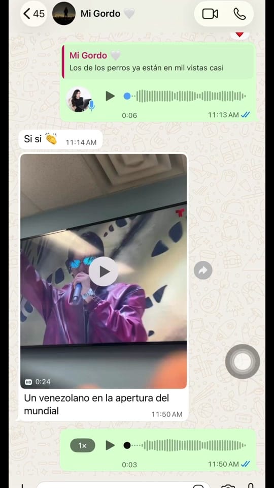 Post 2 by Sani on TikTok (video)