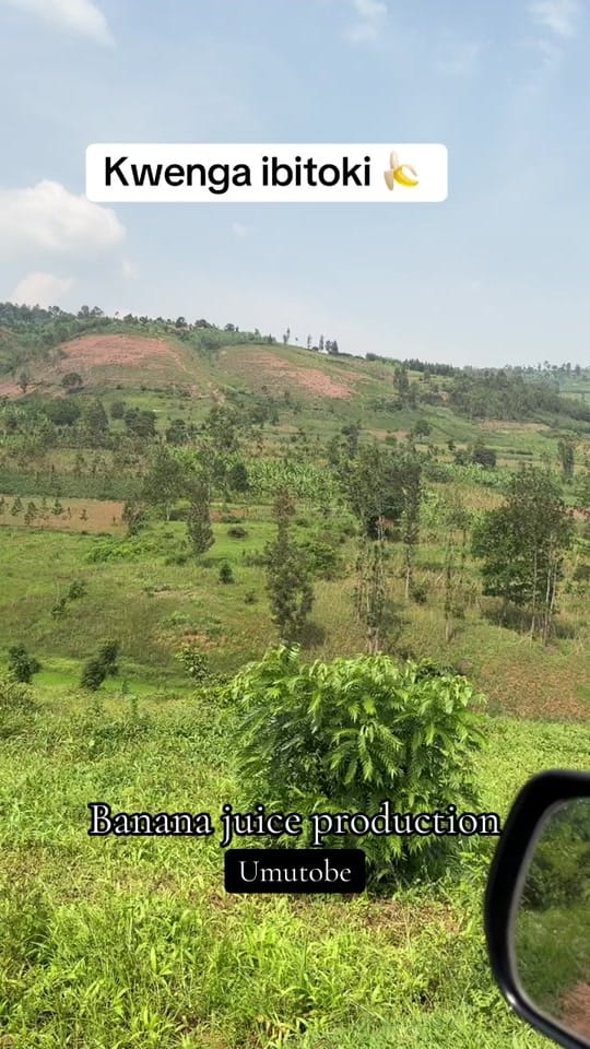 Post 5 by Yvonne Yne Uwa on TikTok (video)
