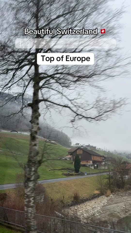 Post 8 by Yvonne Yne Uwa on TikTok (video)