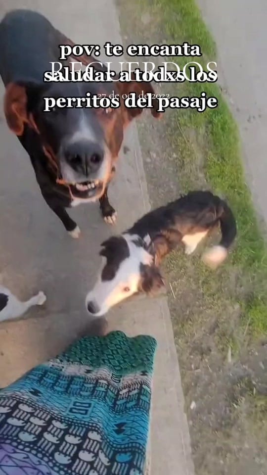 Post 4 by wabbi on TikTok (video)