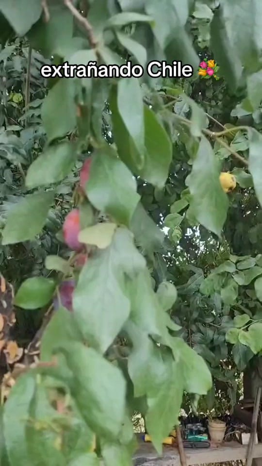 Post 6 by wabbi on TikTok (video)