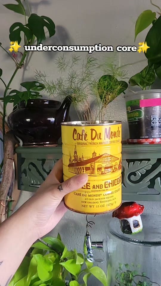 Post 5 by wabbi on TikTok (video)