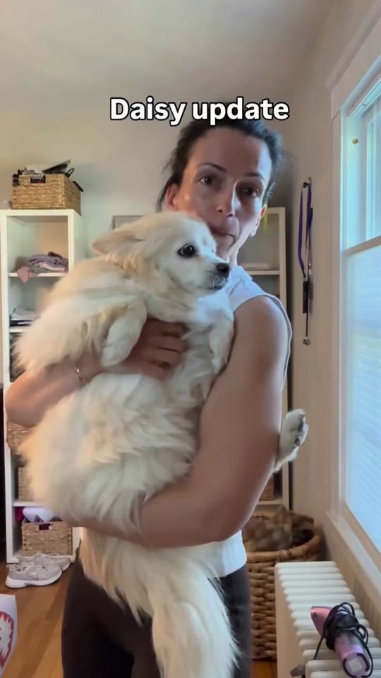 Post 3 by Noor Al-Humaidhi MD on TikTok (video)