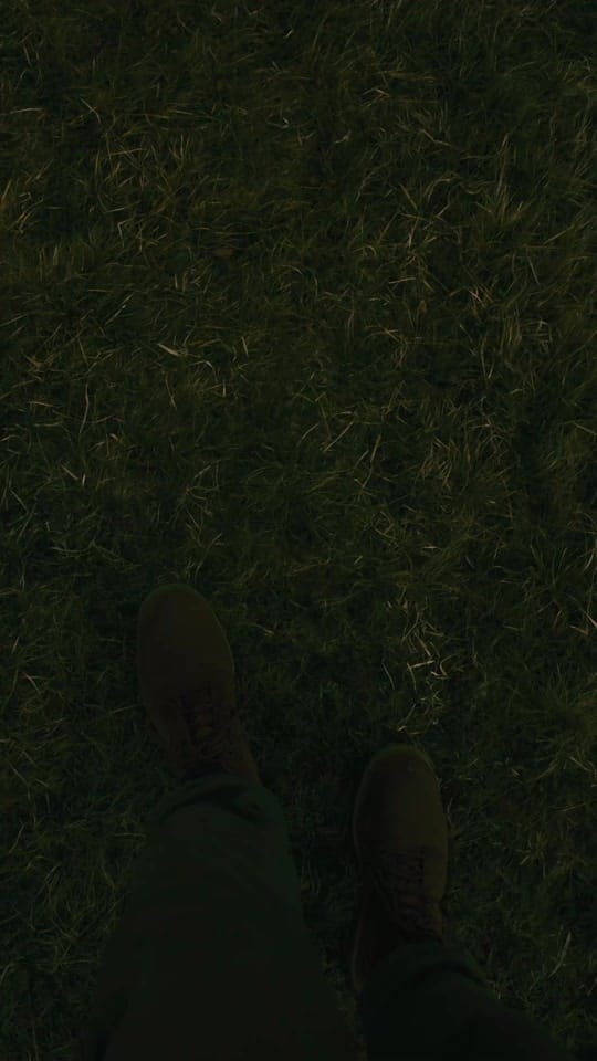 Post 2 by Constantin on TikTok (video)
