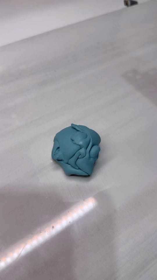 Post 4 by Carolina Miller on TikTok (video)