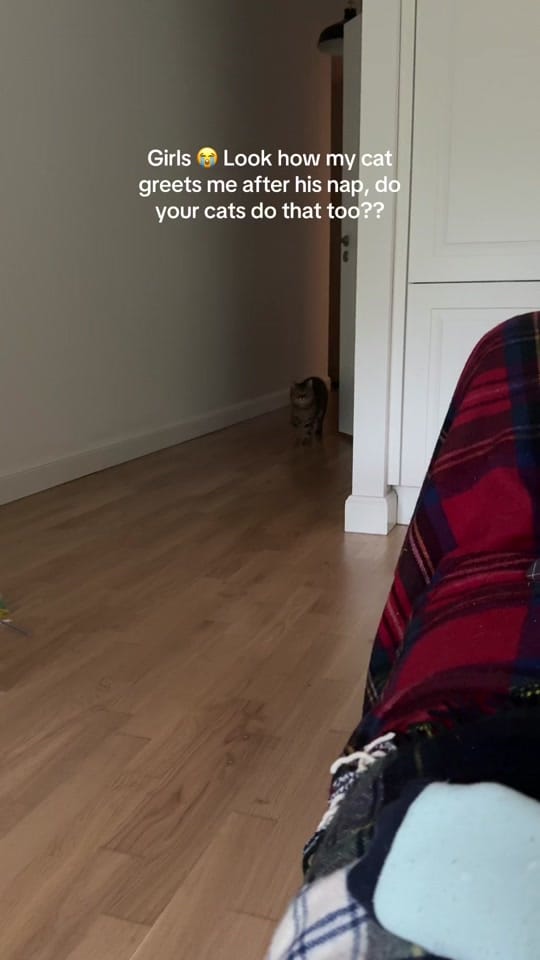 Post 6 by Alina&Fritz on TikTok (video)
