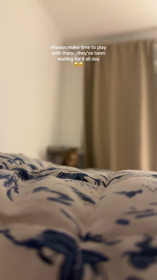 Post 5 by Alina&Fritz on TikTok (video)
