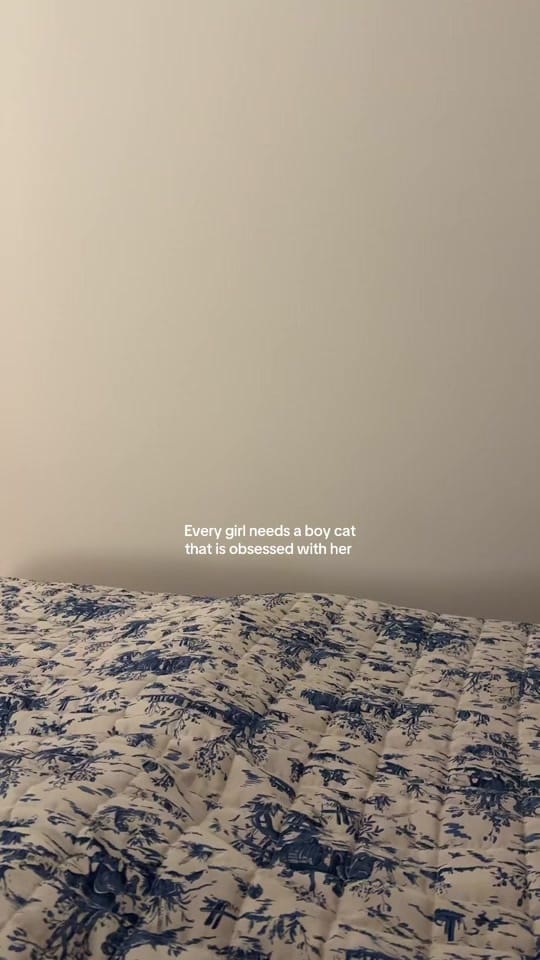 Post 9 by Alina&Fritz on TikTok (video)