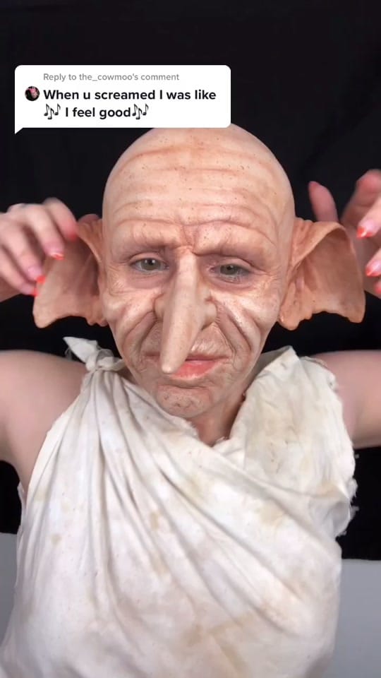 Post 1 by Brittany Lessard on TikTok (video)