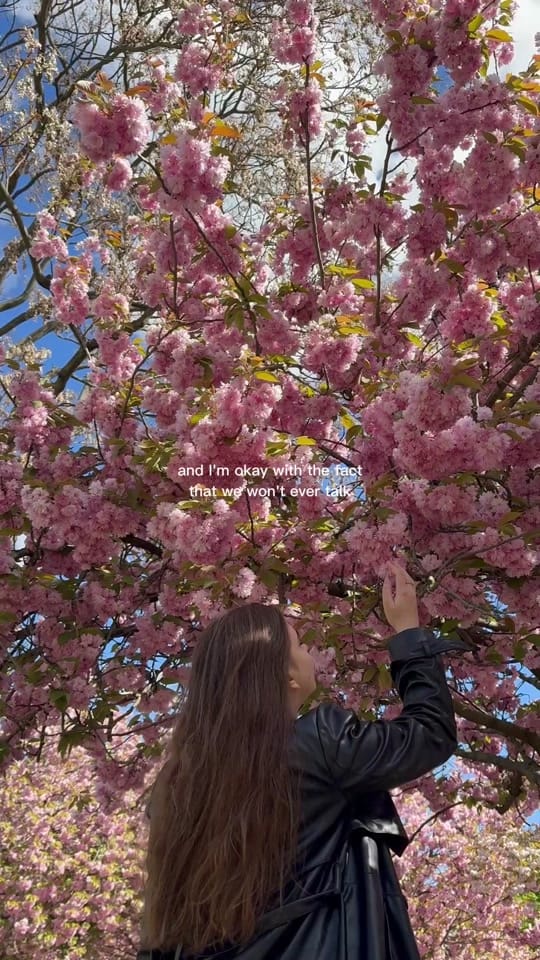 Post 7 by Paula Pascal✨lifestyle blogger on TikTok (video)