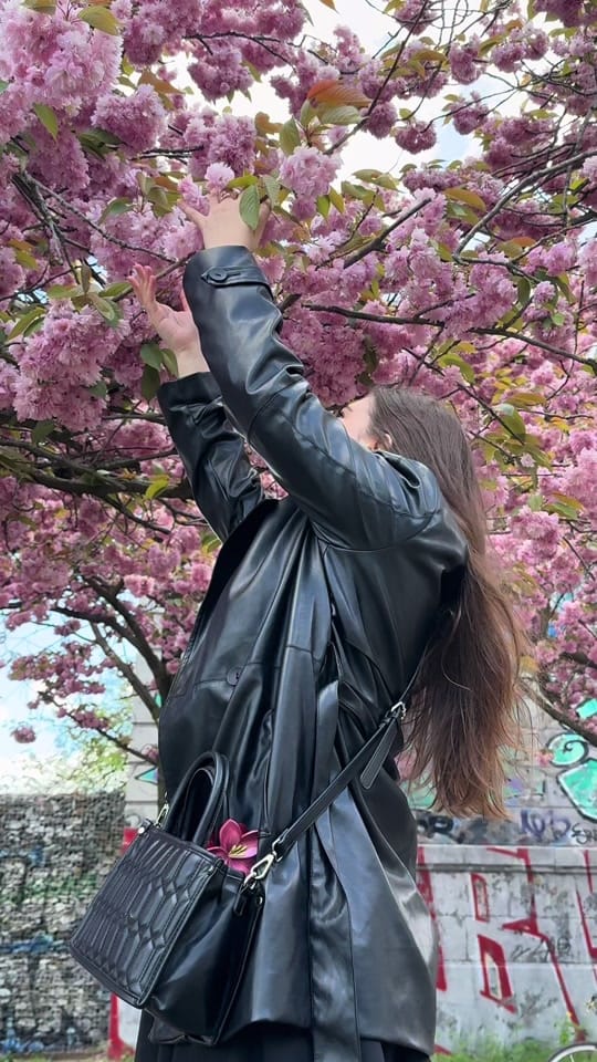 Post 8 by Paula Pascal✨lifestyle blogger on TikTok (video)