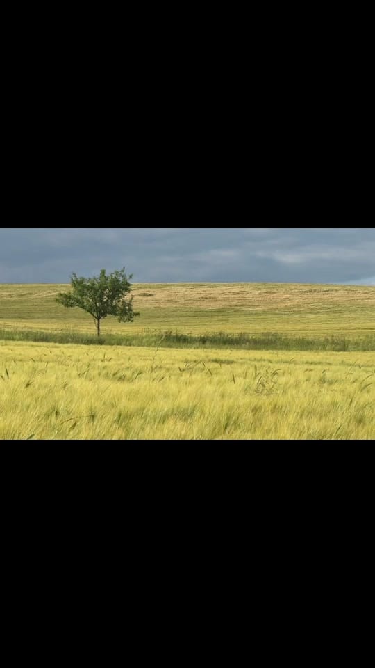 Post 4 by elma on TikTok (video)