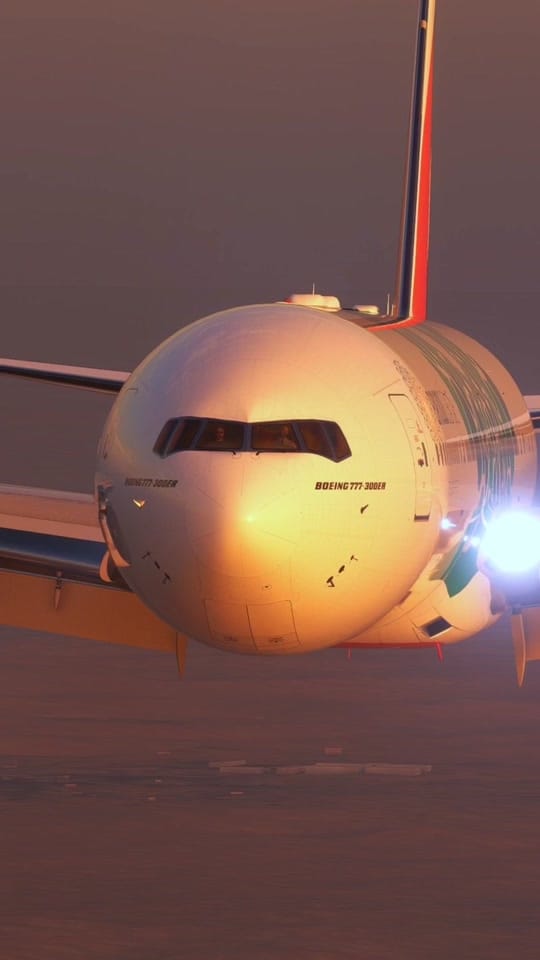Post 8 by MUC plane on TikTok (video)