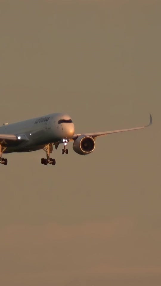 Post 1 by MUC plane on TikTok (video)