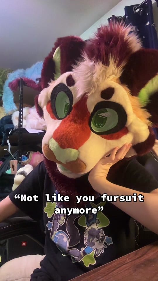 Post 8 by Peckish.Paws on TikTok (video)