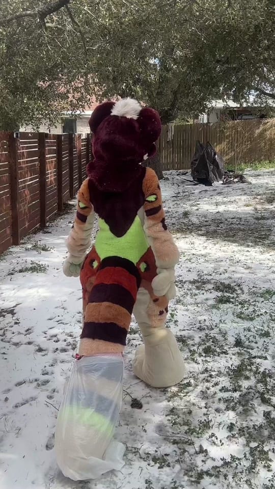 Post 9 by Peckish.Paws on TikTok (video)