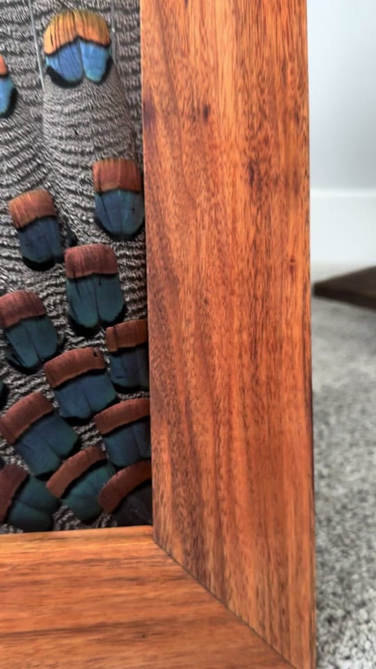 Post 4 by All Feathers Taxidermy on TikTok (video)