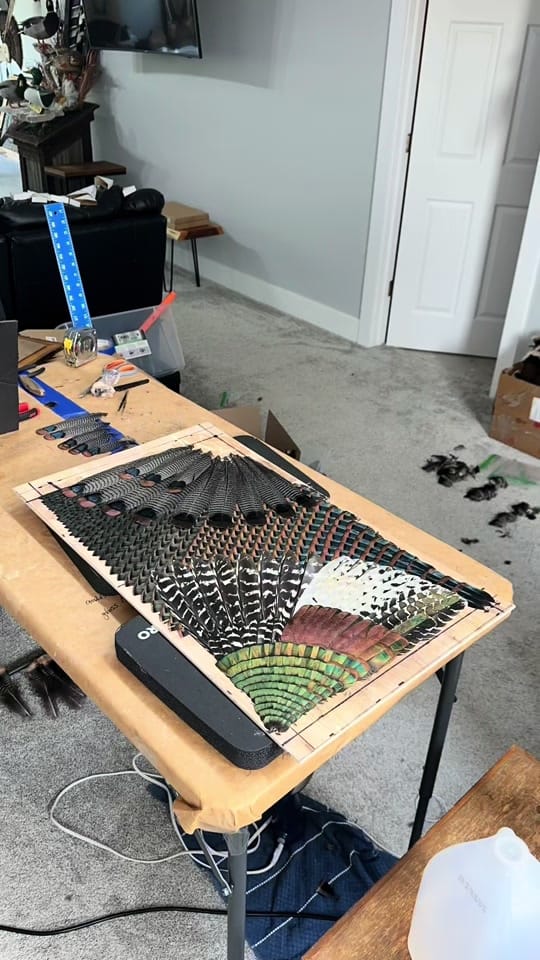 Post 1 by All Feathers Taxidermy on TikTok (video)