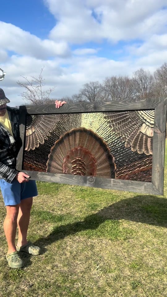 Post 10 by All Feathers Taxidermy on TikTok (video)