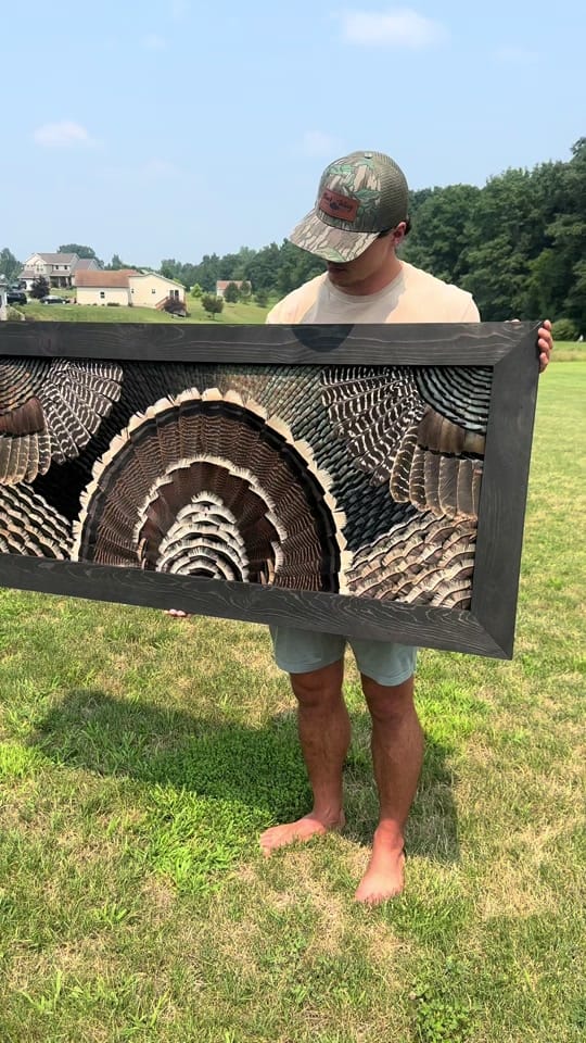 Post 9 by All Feathers Taxidermy on TikTok (video)