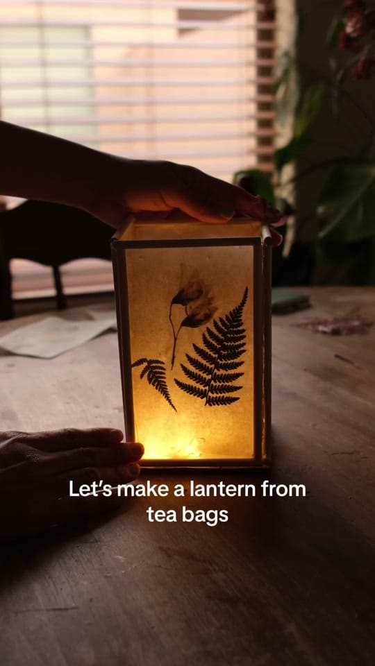 Post 8 by Sibia on TikTok (video)