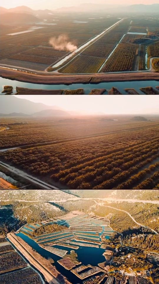 Post 6 by Daniel Schumacher on TikTok (video)