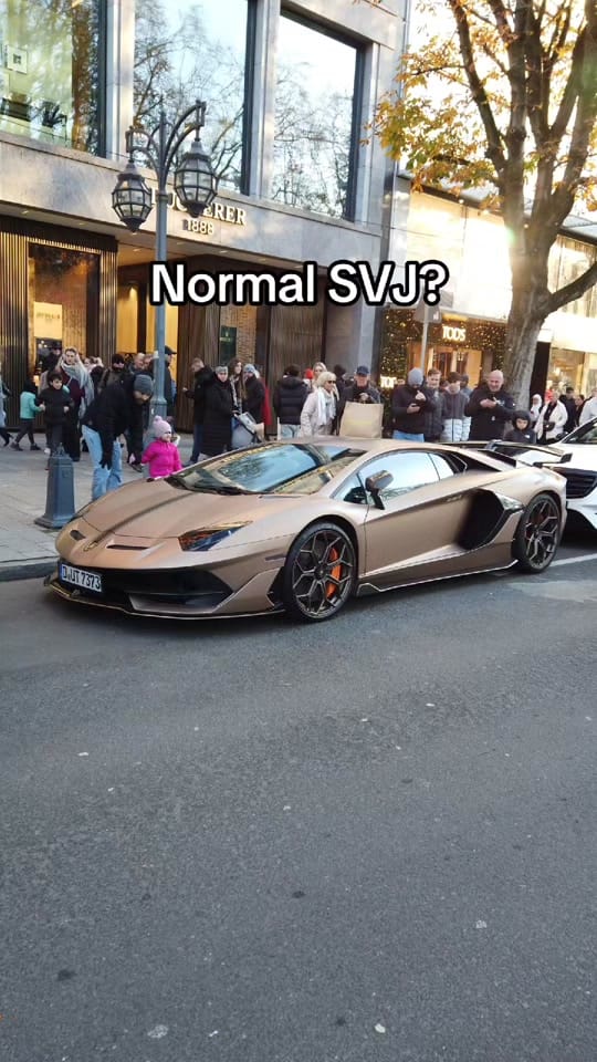 Post 10 by lpcarspotting on TikTok (video)