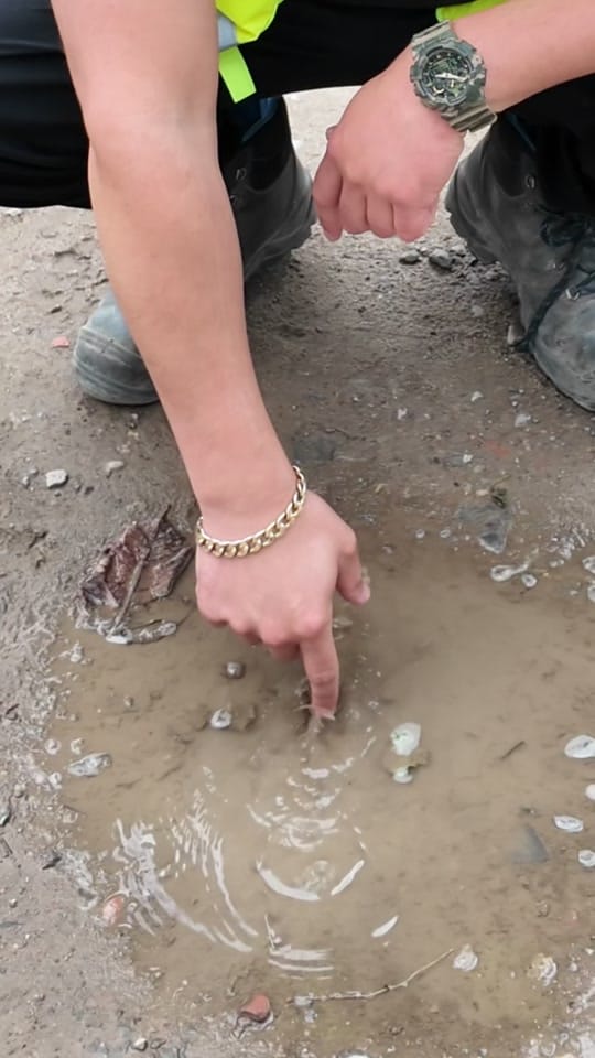 Post 8 by Der Macker mit dem Bagger on TikTok (video)