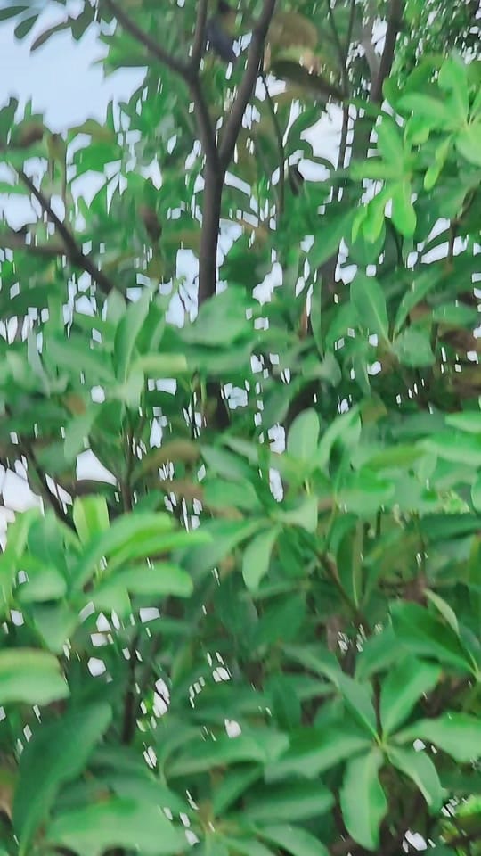 Post 10 by Gull faiz 🇰🇷🇵🇰 on TikTok (video)