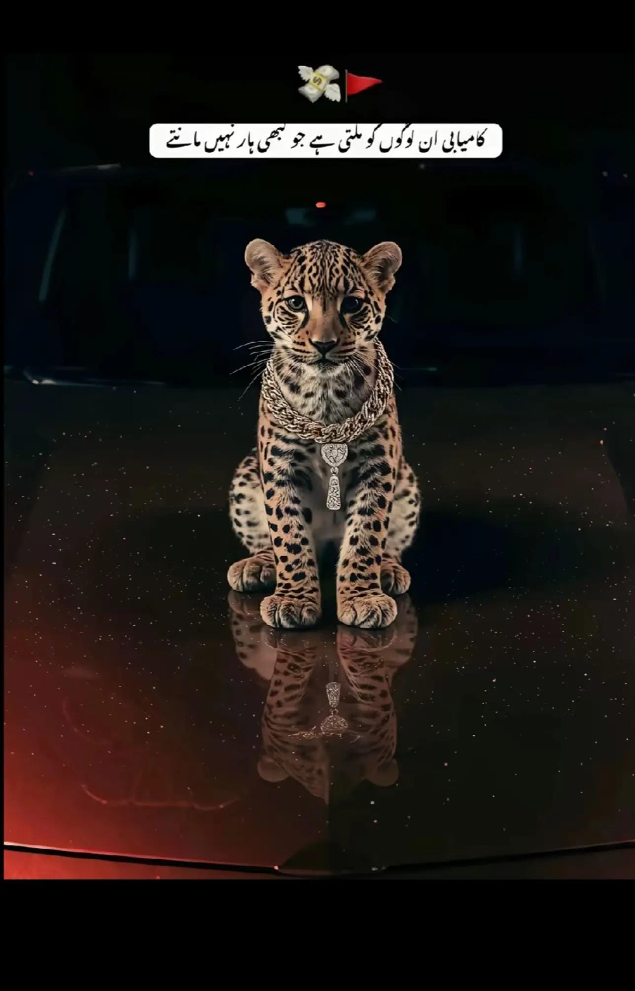Post 6 by Gull faiz 🇰🇷🇵🇰 on TikTok (video)