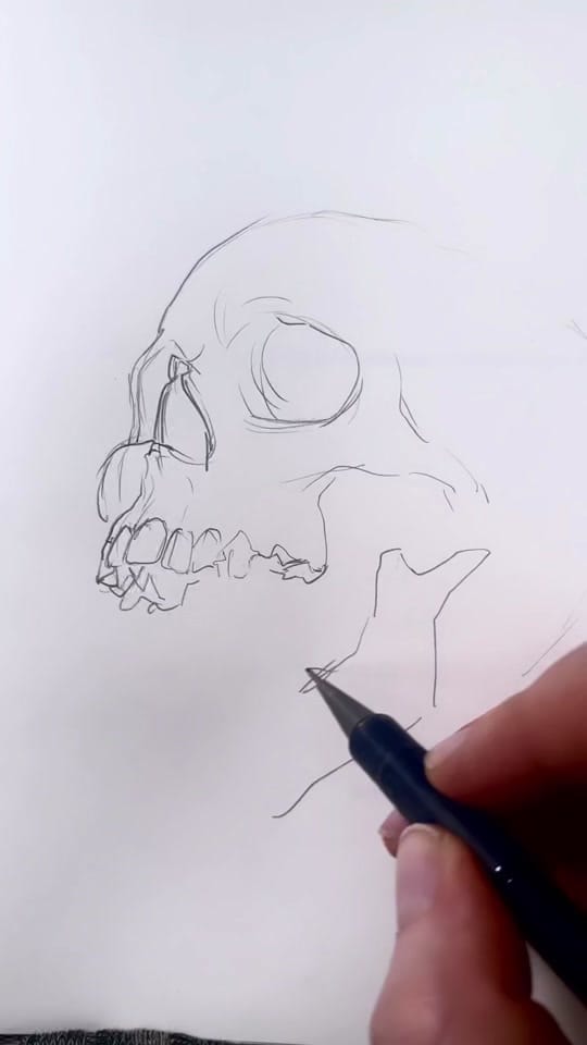 Post 9 by eleeza on TikTok (video)