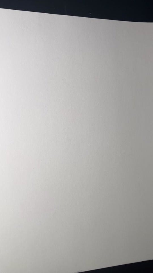 Post 4 by Gavin Lamb on TikTok (video)