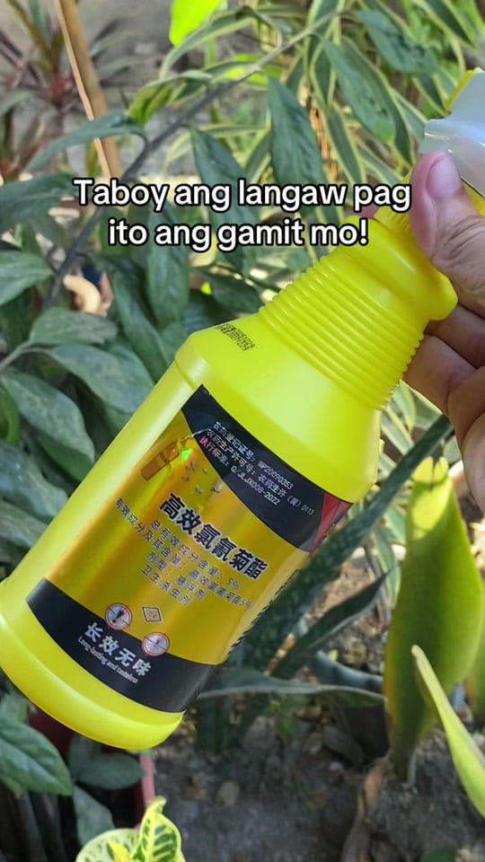 Post 7 by Justprecious.mary 🇵🇭 on TikTok (video)