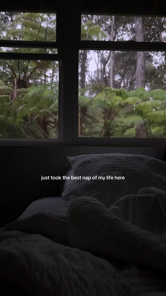 Post 7 by Janelle on TikTok (video)