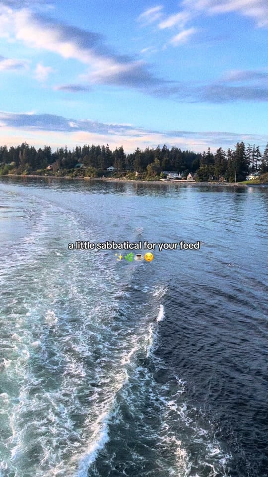 Post 6 by Janelle on TikTok (video)