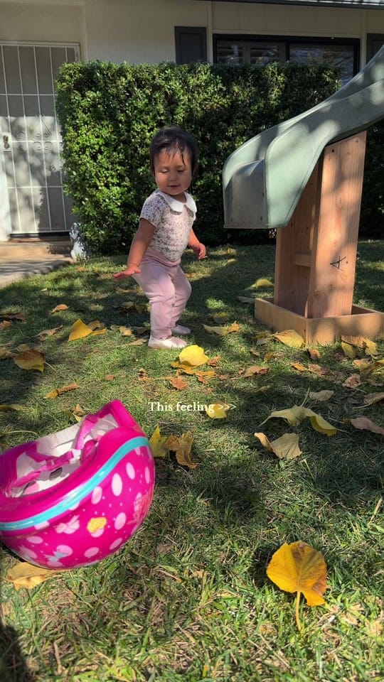 Post 4 by tiktokfindsbyjanette on TikTok (video)