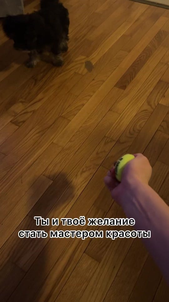 Post 6 by Kate G on TikTok (video)
