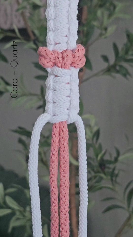 Post 1 by Cord plus Quartz on TikTok (video)