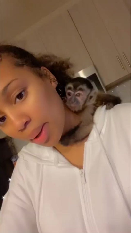 Post 8 by Konvictkoda on TikTok (video)