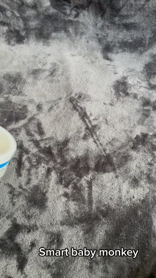 Post 7 by Konvictkoda on TikTok (video)