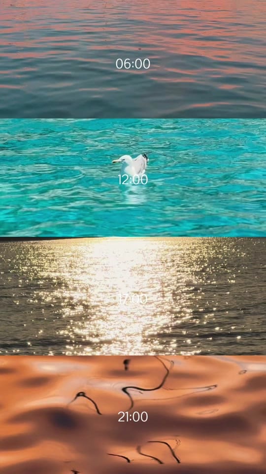 Post 5 by Brenda Mercedes Fox on TikTok (video)
