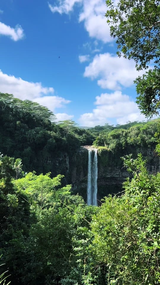 Post 5 by Solvita Au on TikTok (video)