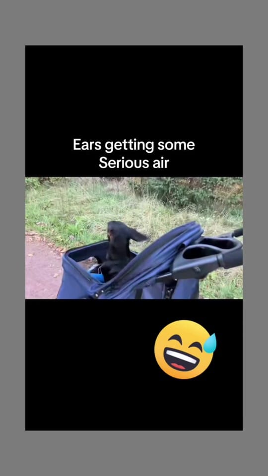 Post 5 by ❤️!!! TOM TURBO !!!❤️ on TikTok (video)