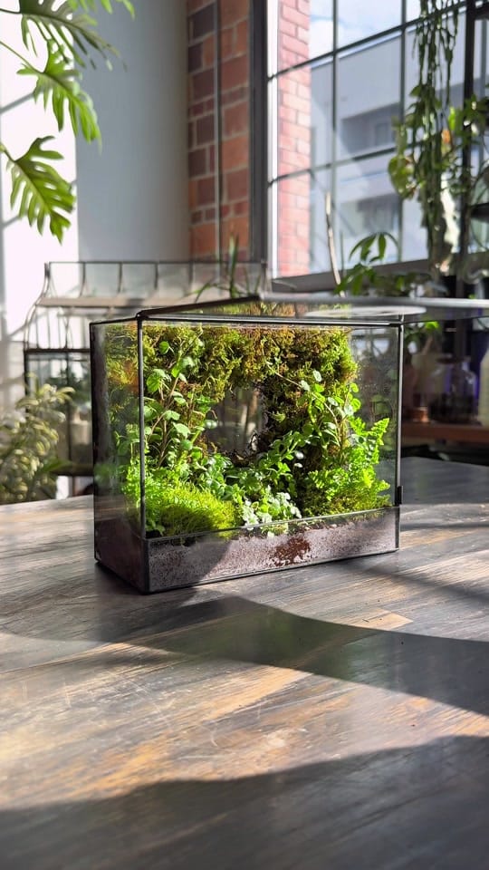 Post 1 by paige | reroot gardens on TikTok (video)
