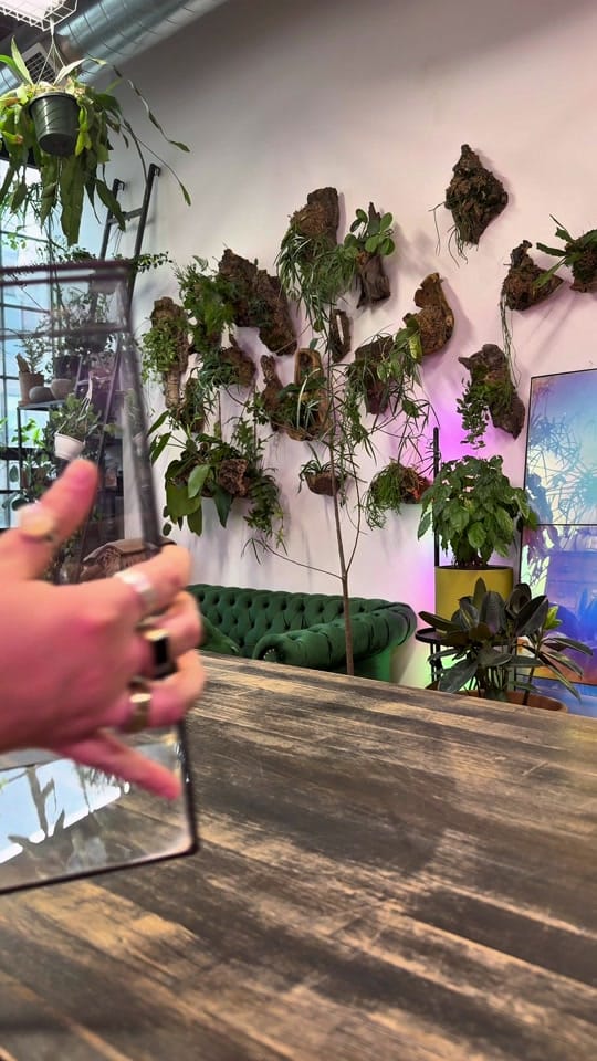 Post 2 by paige | reroot gardens on TikTok (video)